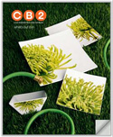 CB2 Catalog